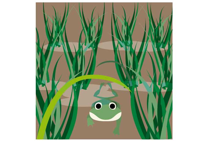 カエルと池