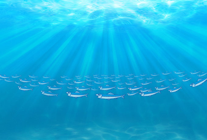 海中の小魚
